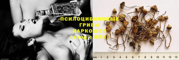 крисы Абдулино