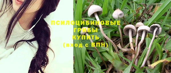 крисы Абдулино