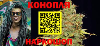 дживик Моздок
