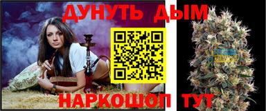 дживик Моздок