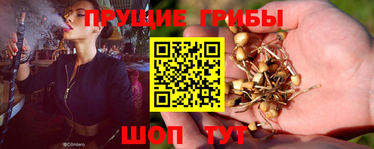 Галлюциногенные грибы Magic Shrooms  Вход с VPN  Волоколамск 