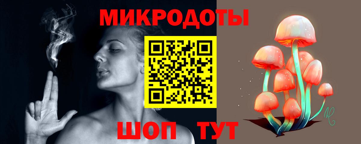 Галлюциногенные грибы Psilocybe Волоколамск